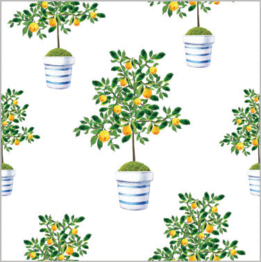 In Stock Continuous Roll Gift Wrap | Lemon Tree